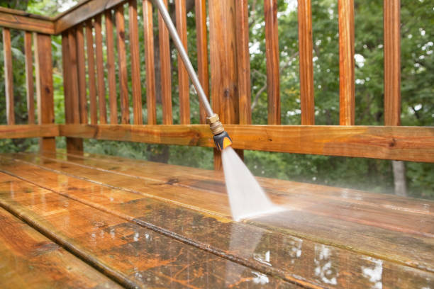 Best Pressure Washing Services for Businesses  in Basile, LA
