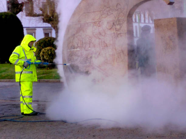 Best Affordable Pressure Washing  in Basile, LA